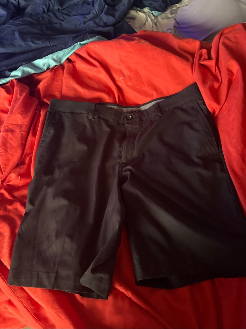 Men's Black Performance Shorts - Eddie Bauer